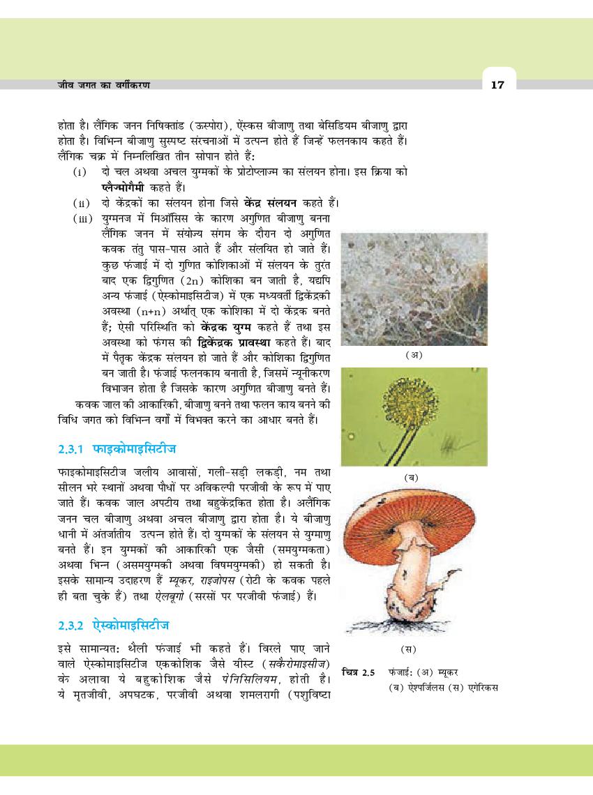 Up Board Book Class Biology Chapter