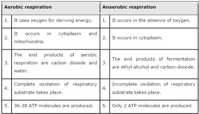 Ncert Solutions For Class Biology Chapter Respiration In Plants