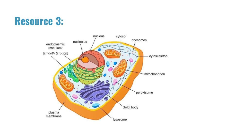 Teaching Material for Class 9 Biology – NCERT CBSE Handbook for Teachers