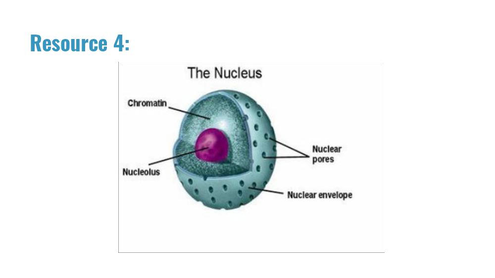 Teaching Material for Class 9 Biology – NCERT CBSE Handbook for Teachers