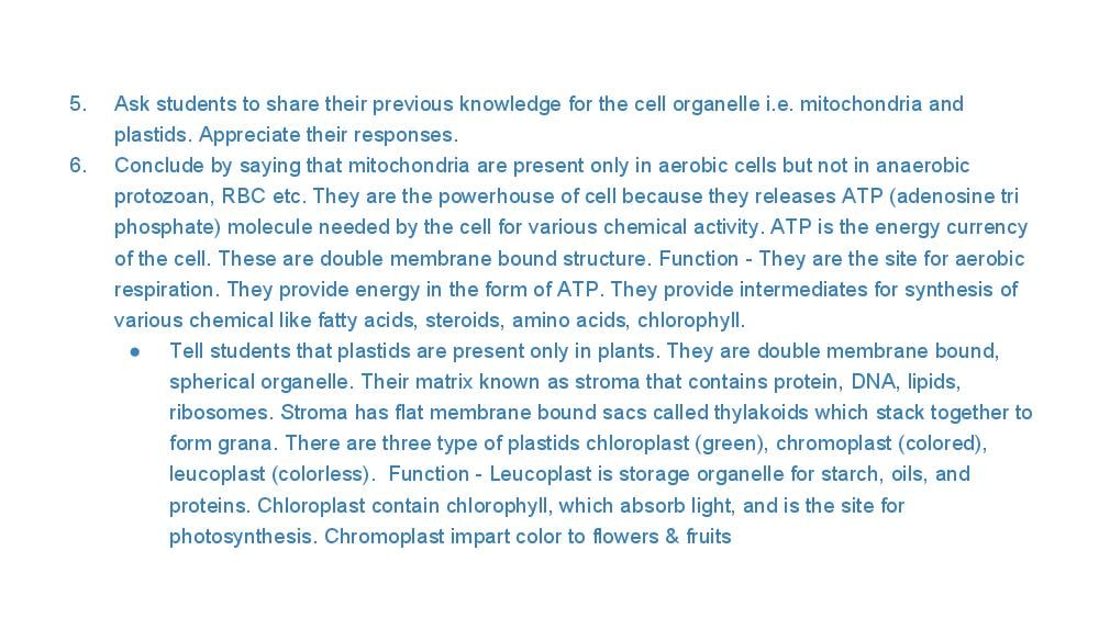Teaching Material for Class 9 Biology – NCERT CBSE Handbook for Teachers