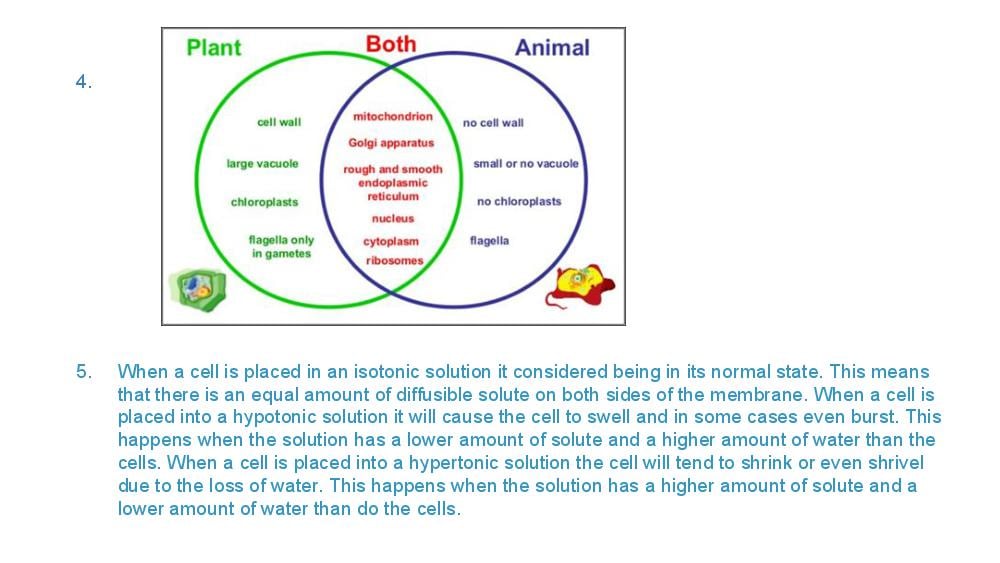 Teaching Material for Class 9 Biology – NCERT CBSE Handbook for Teachers