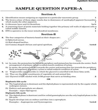 CBSE Class 11 Sample Paper for Biology Set a