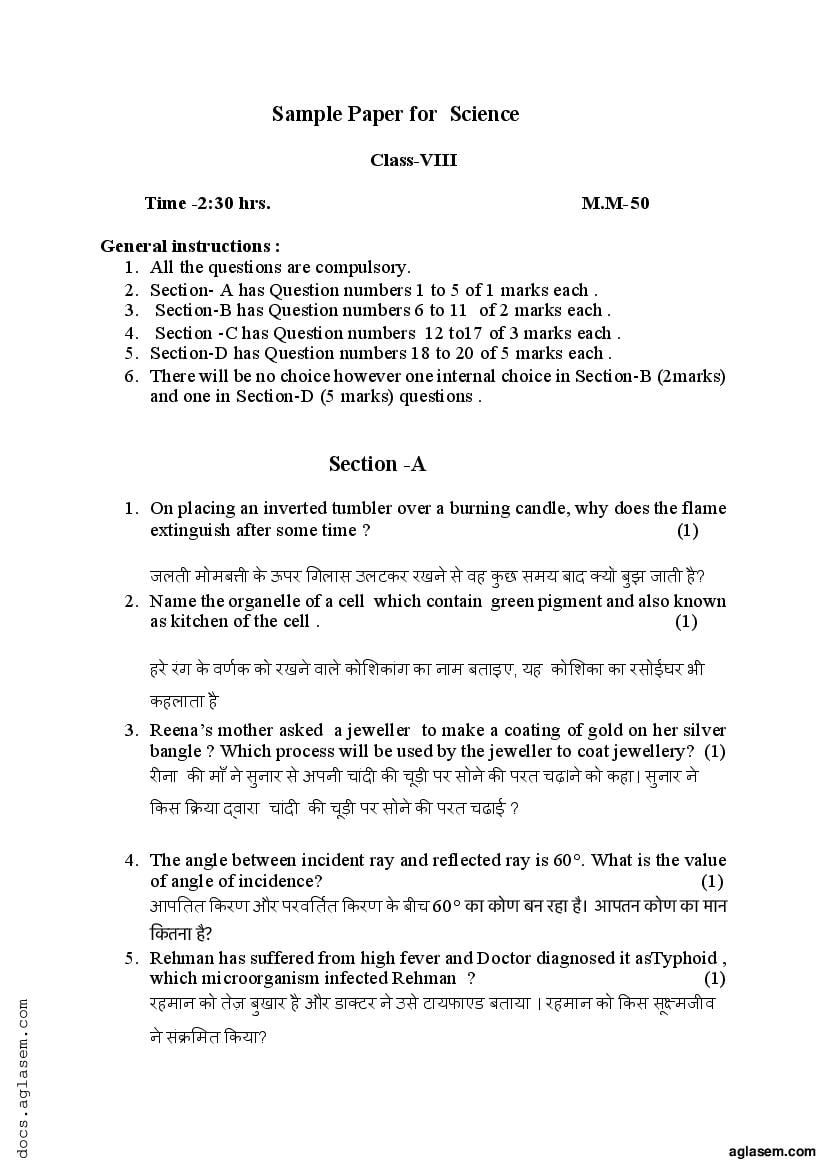 UP Board Class 8 Model Paper 2023 Science