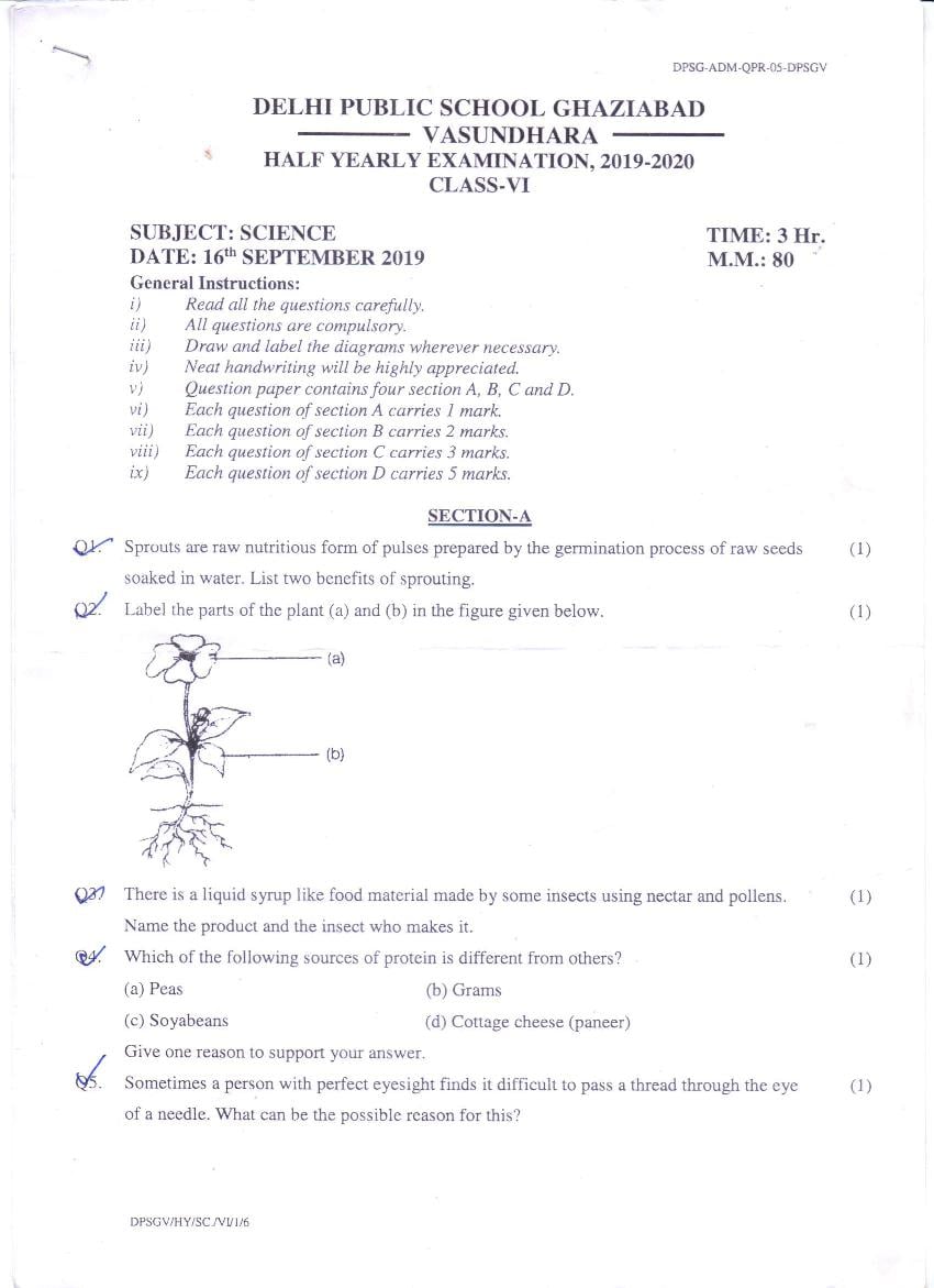 CBSE Class 6 Question Paper 2019 Half Yearly Science - Page 1