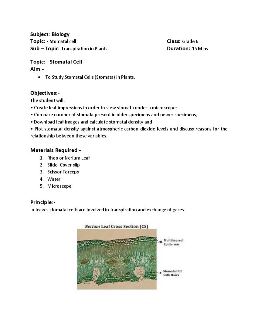 Teaching Material Class 6 Biology Stomatal Cell - Page 1