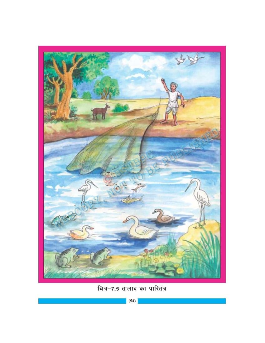 Bihar Board Book For Class 7 Geography (PDF)