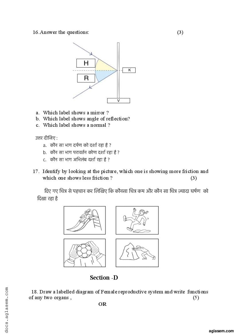 class 8 science holiday homework 2022