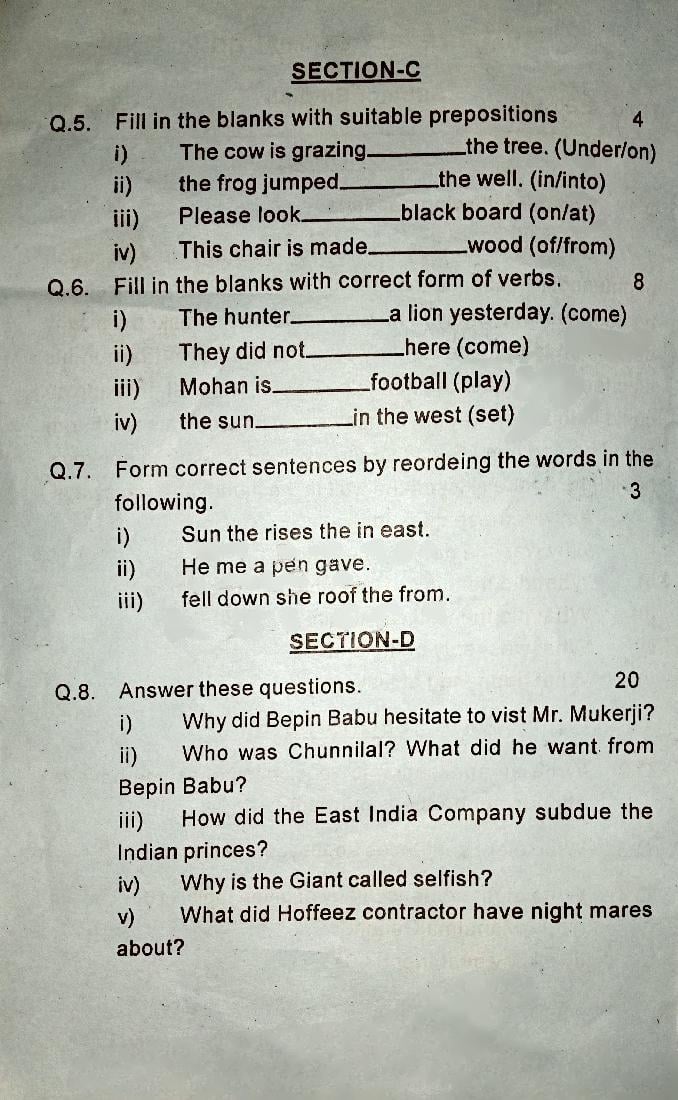 English Sample Paper Class 6 Half Yearly 2023