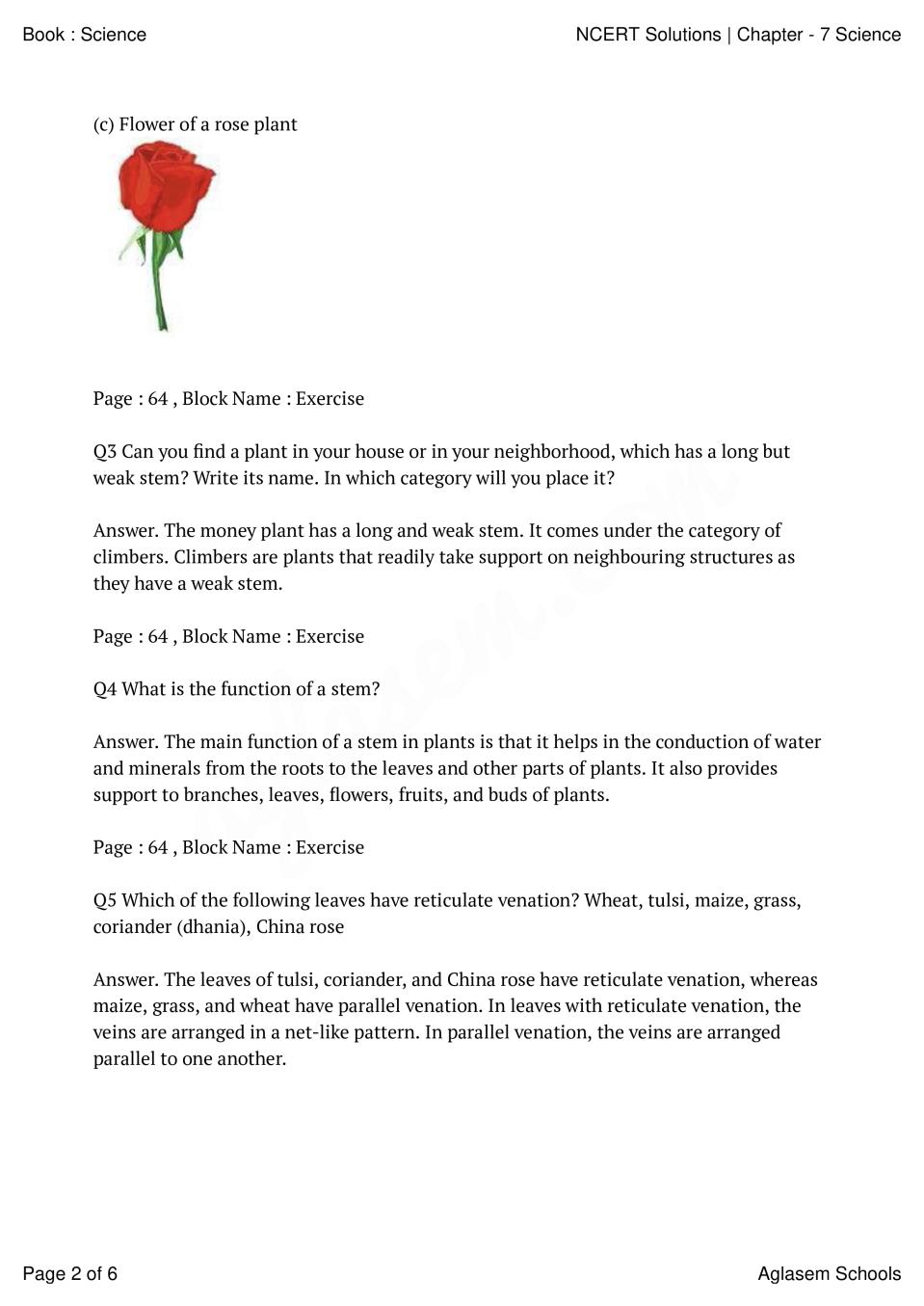 Ncert Solutions Class 6 Science Chapter 7 Getting To Know Plants