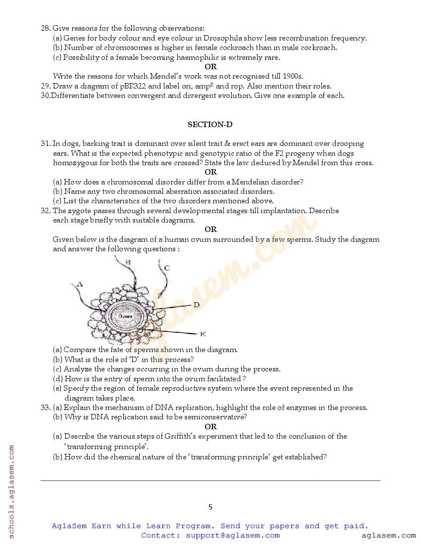 Class 12 Biology Sample Paper Half Yearly 2024 | 12th Biology Half ...