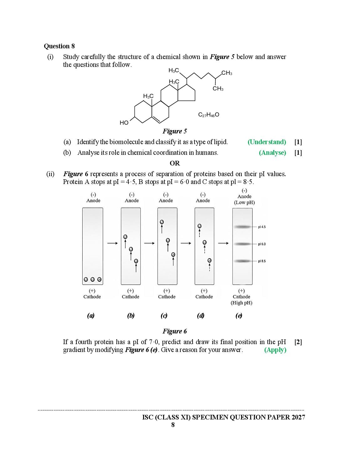 ISC Class 11 Biotechnology Specimen Paper 2027 (PDF)