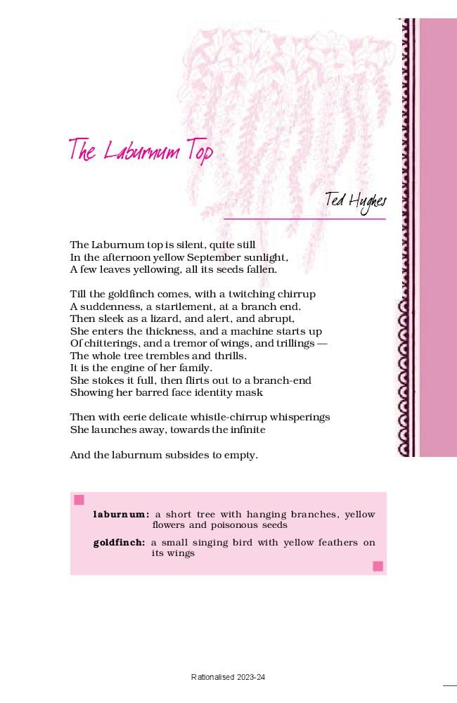 NCERT Book Class 11 English (Hornbill) 3 Tut: the Continues; The Laburnum Top