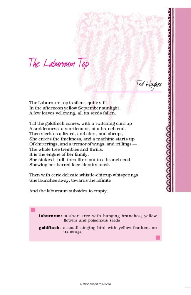 Class 11 English Hornbill Chapter The Laburnum Top Summary