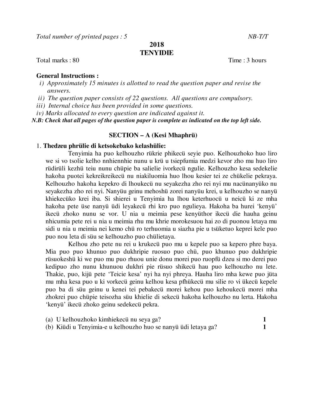 NBSE Class 10 Question Paper 2018 for Tenyidie - Page 1