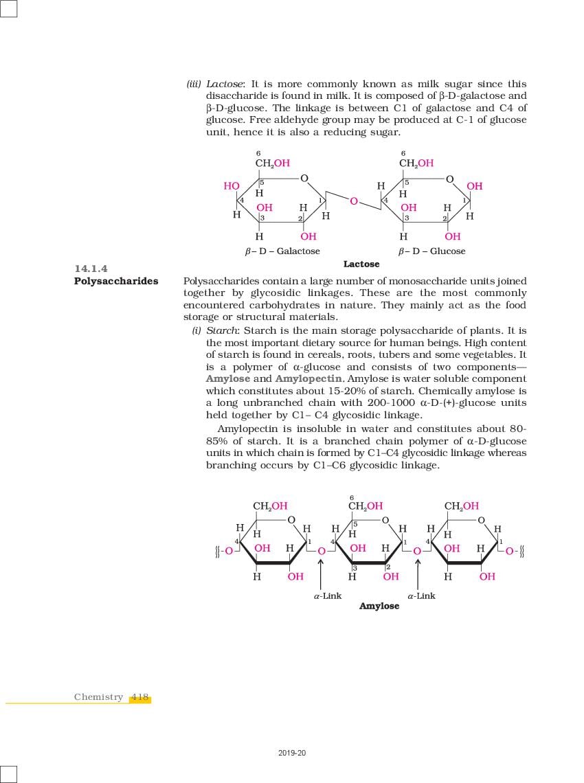 assignment on biomolecules class 12