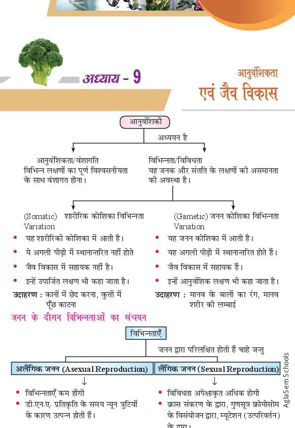 Class 10 Science Notes for Heridity and Evolution (Hindi Medium) - Page 1 of 16