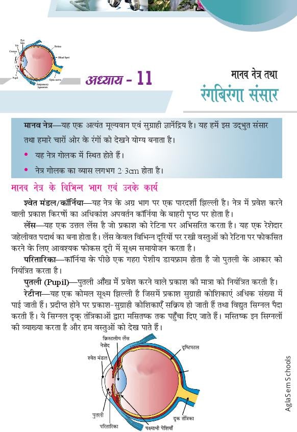 Class 10 Science Notes for Human Eye and Colourful World (Hindi Medium) - Page 1 of 11