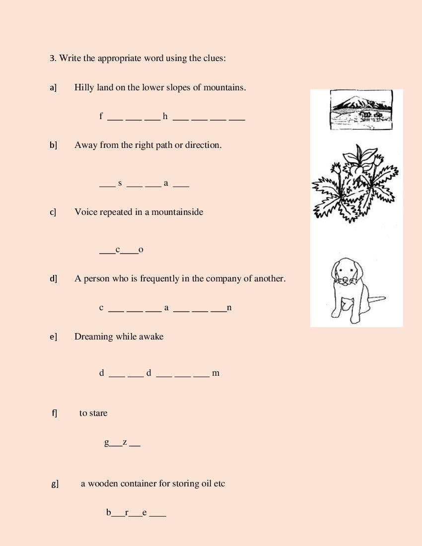 Class 5 All Subjects Competency Based Questions 2025 - Download PDF ...