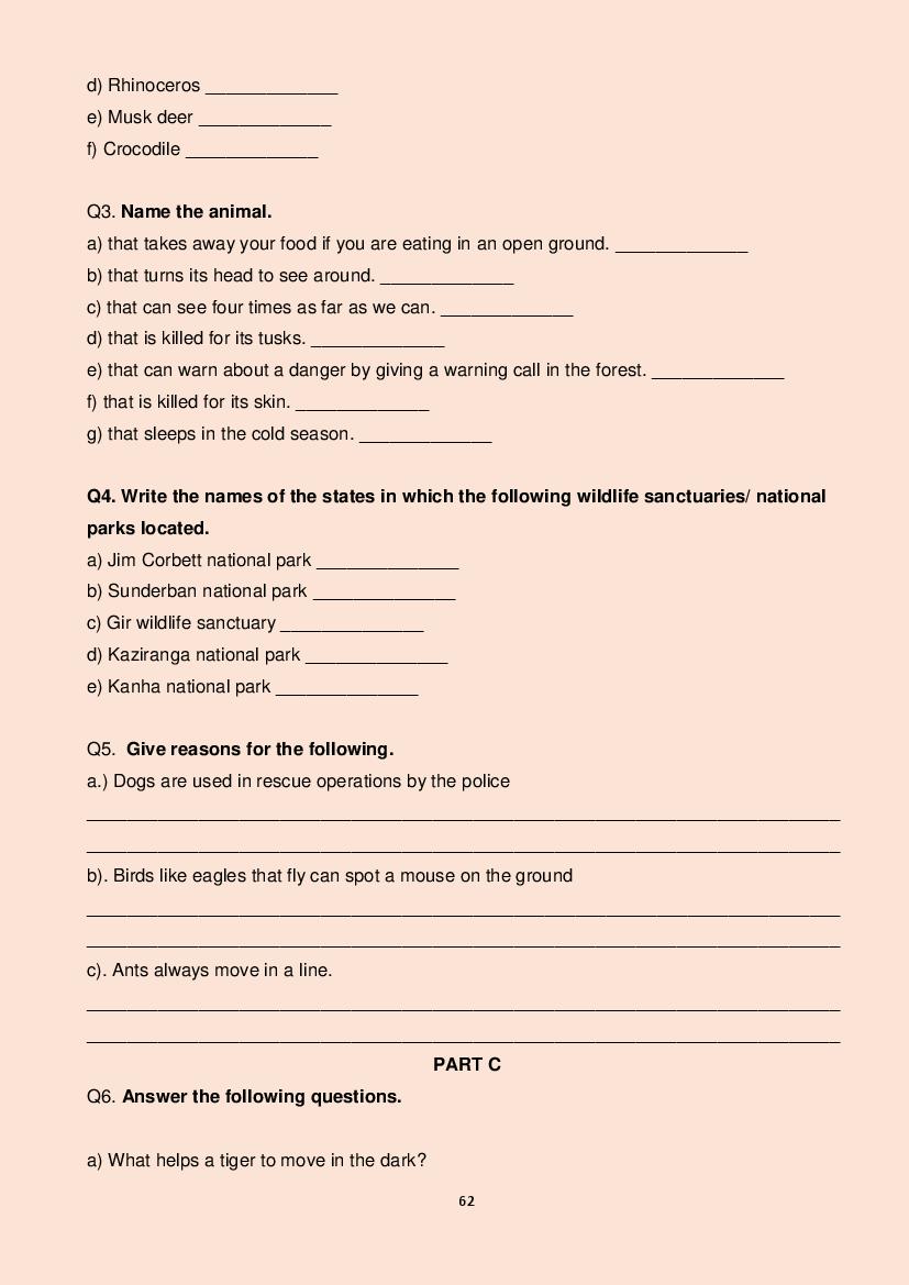 Class 5 All Subjects Competency Based Questions 2025 - Download PDF ...