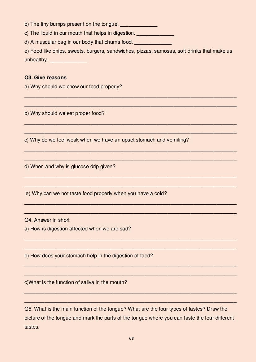 Class 5 All Subjects Competency Based Questions 2025 - Download PDF ...