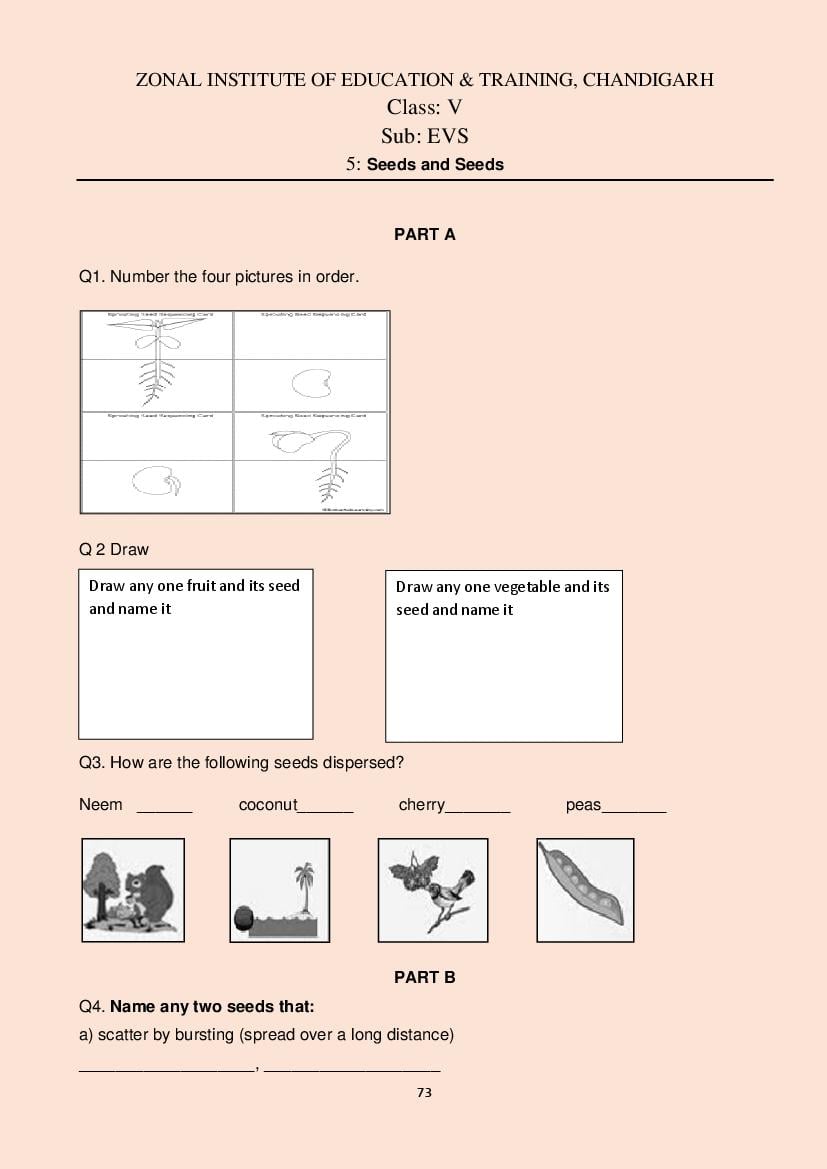 Class 5 All Subjects Competency Based Questions 2025 - Download PDF ...