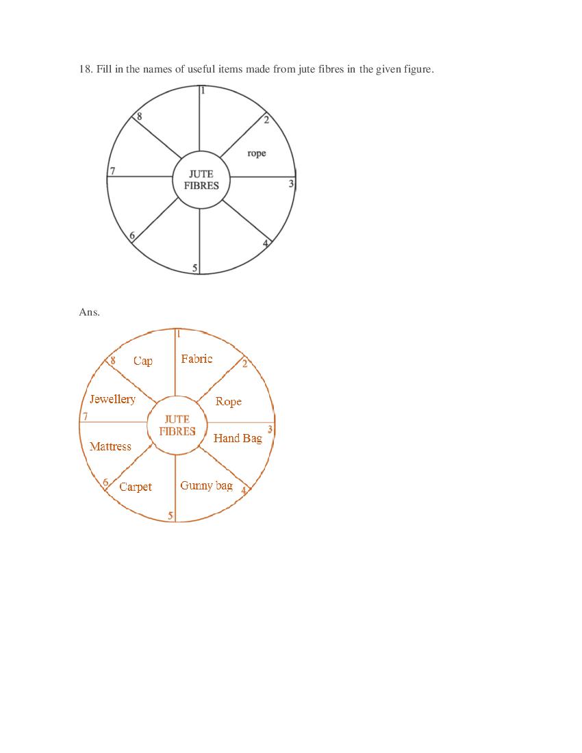 Class 6 Science Competency Based Questions 2025 - Download PDF - AglaSem