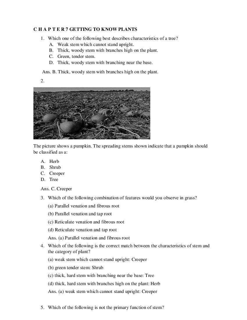 Class 6 Science Competency Based Questions 2025 - Download PDF - AglaSem
