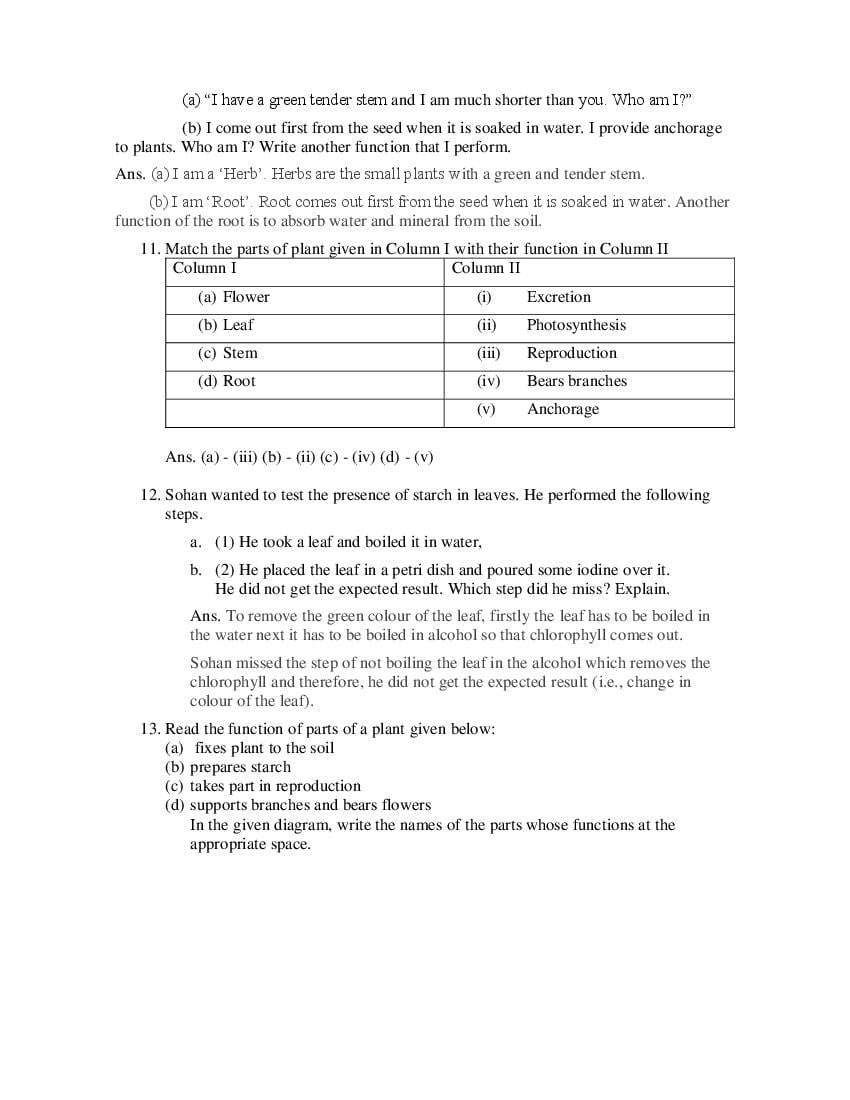 Class 6 Science Competency Based Questions 2025 - Download PDF - AglaSem