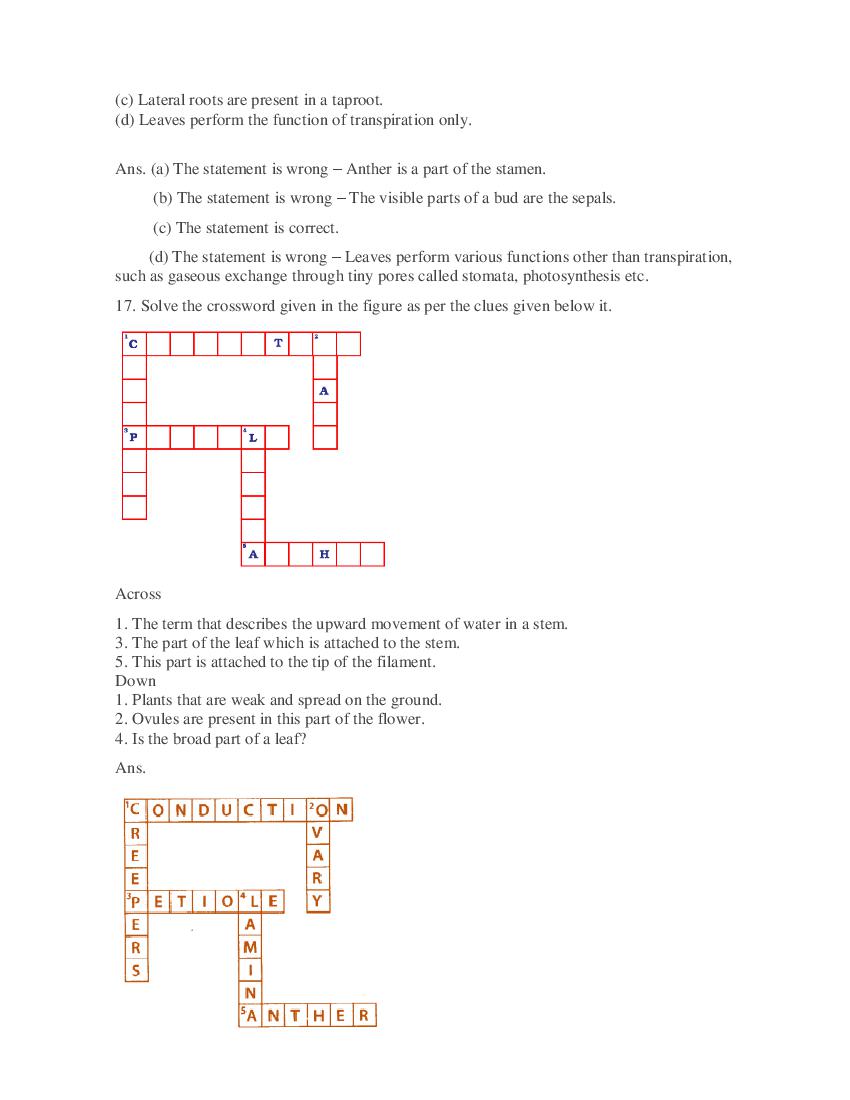 Class 6 Science Competency Based Questions 2025 - Download PDF - AglaSem