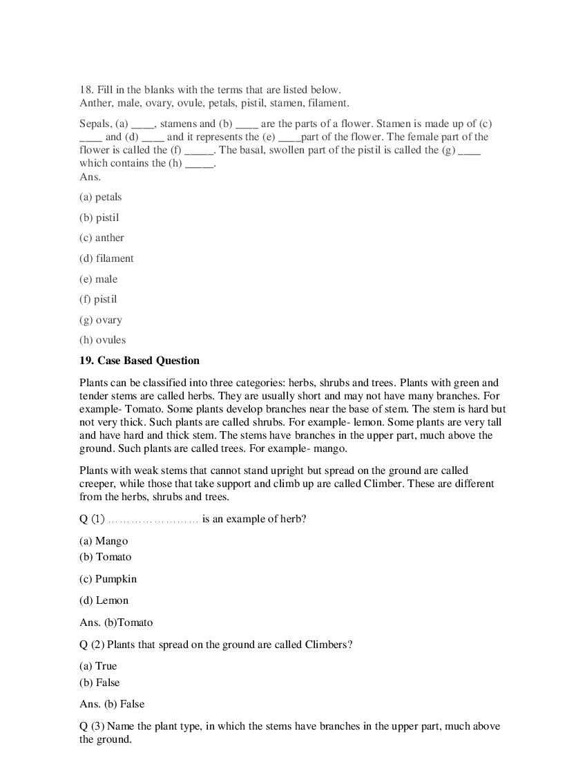 Class 6 Science Competency Based Questions 2025 - Download PDF - AglaSem