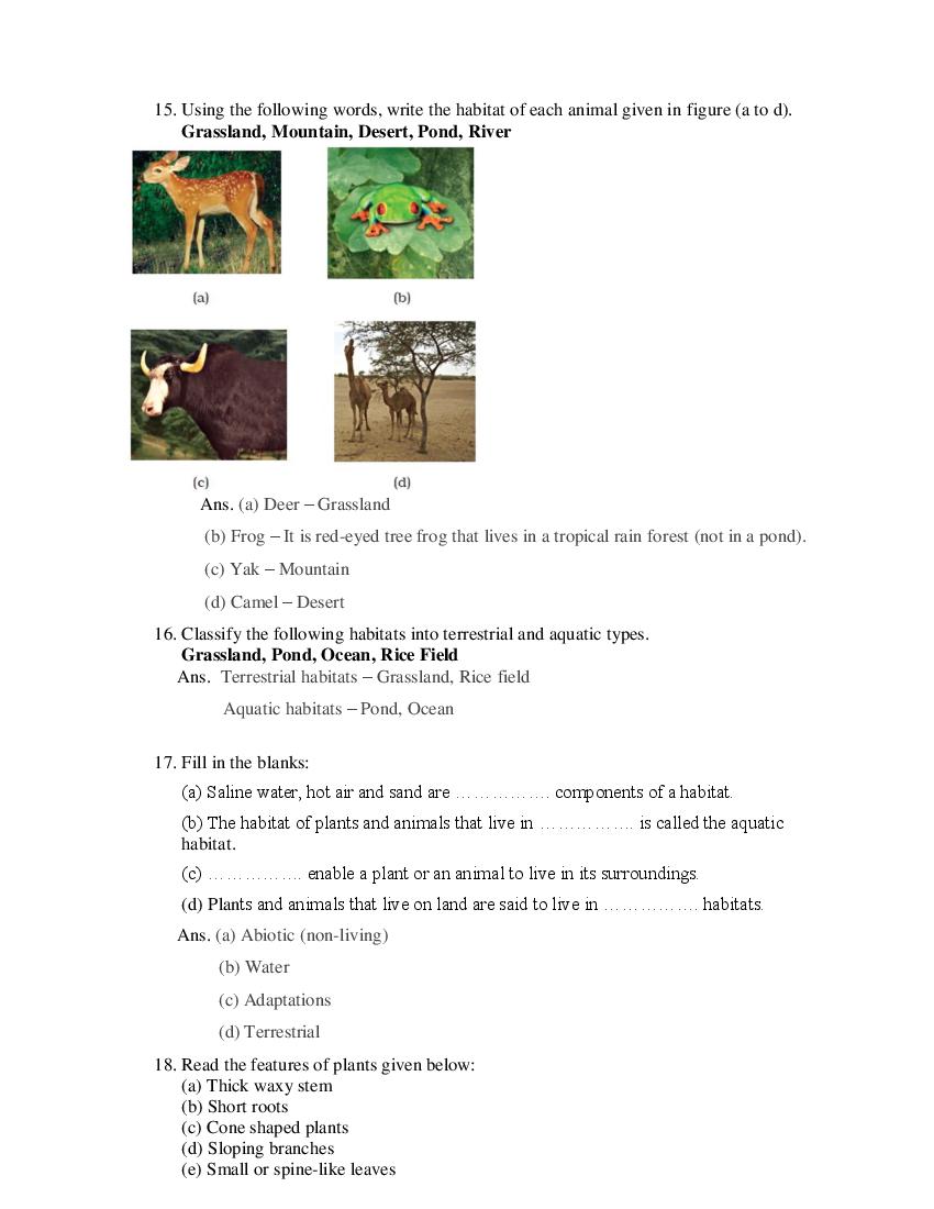 Class 6 Science Competency Based Questions 2025 - Download PDF - AglaSem