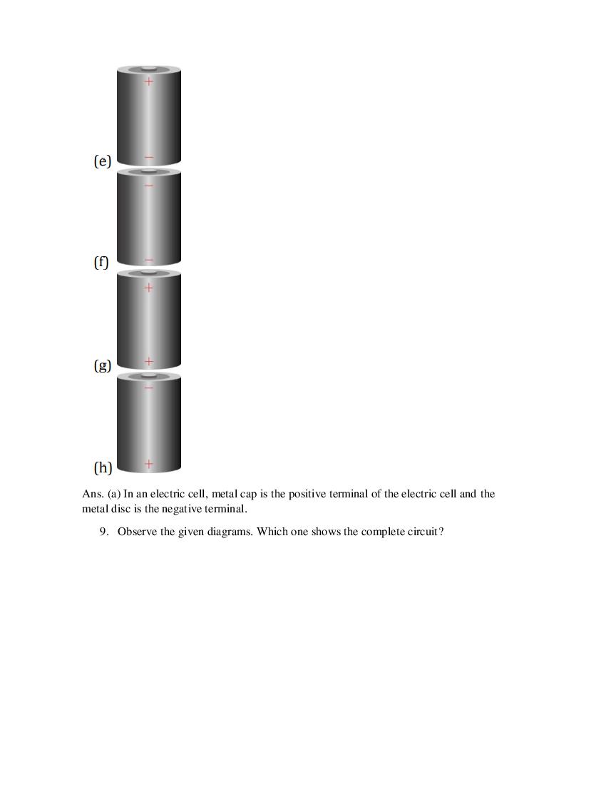 Class 6 Science Competency Based Questions 2025 - Download PDF - AglaSem