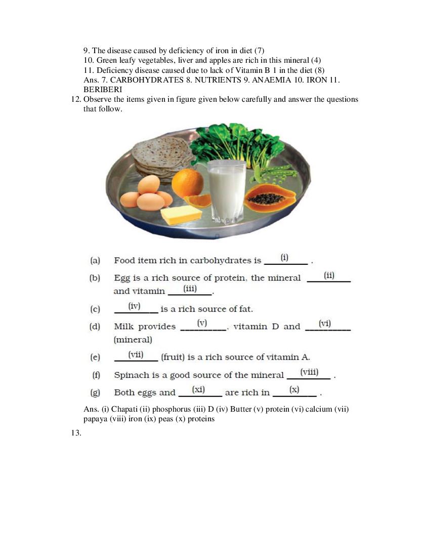 Class 6 Science Competency Based Questions 2025 - Download PDF - AglaSem