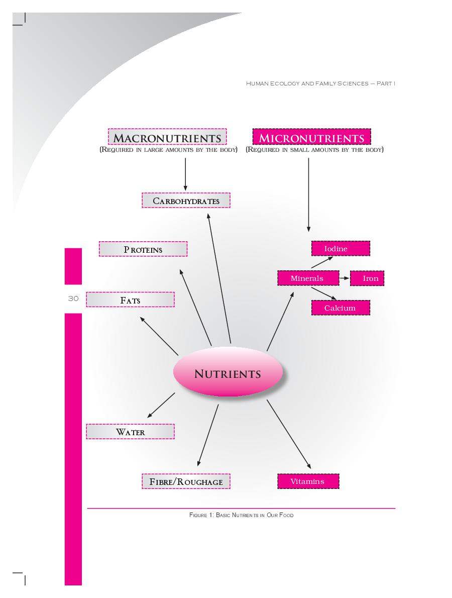 ncert-book-class-11-home-science-chapter-3-food-nutrition-health-and