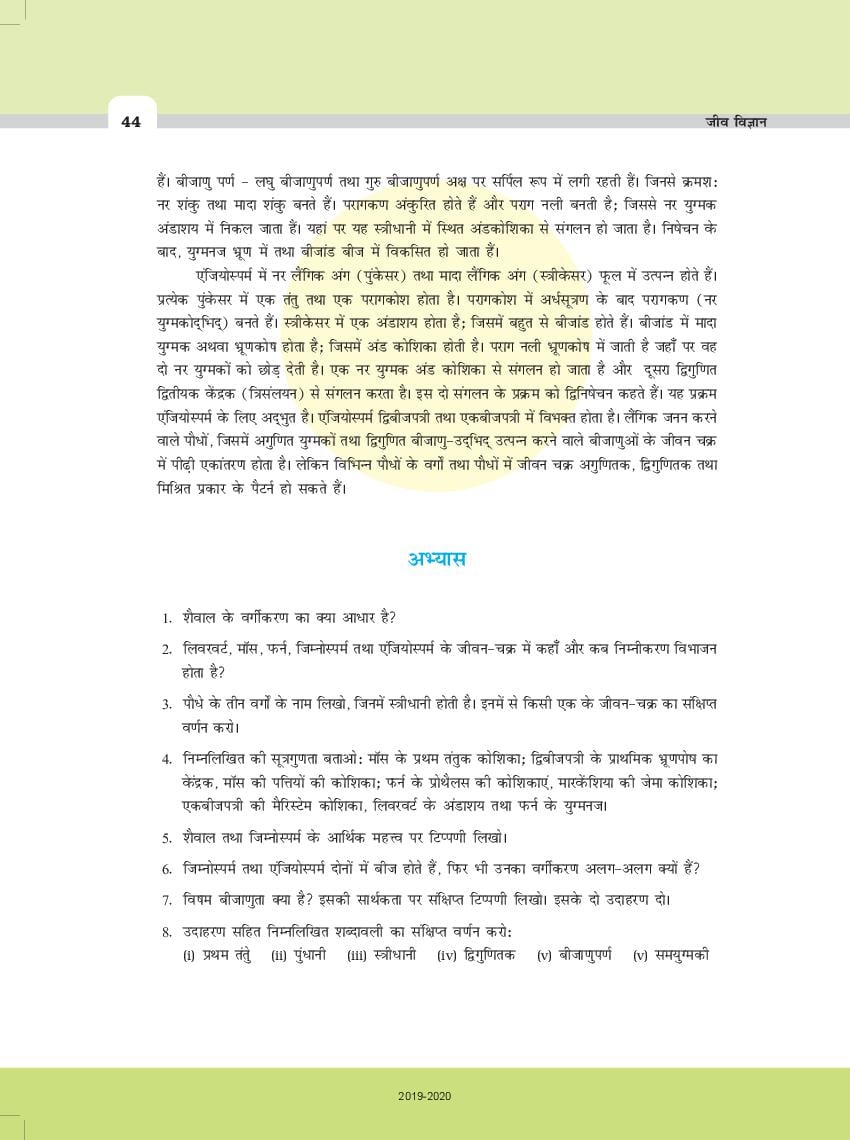 Ncert Book Class 11 Biology ज व व ज ञ न Chapter 3 वनस पत जगत