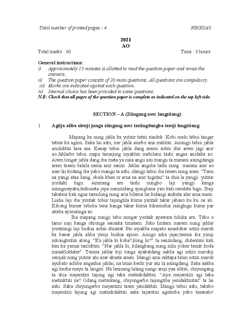 NBSE Class 11 Question Paper 2021 for AO - Page 1