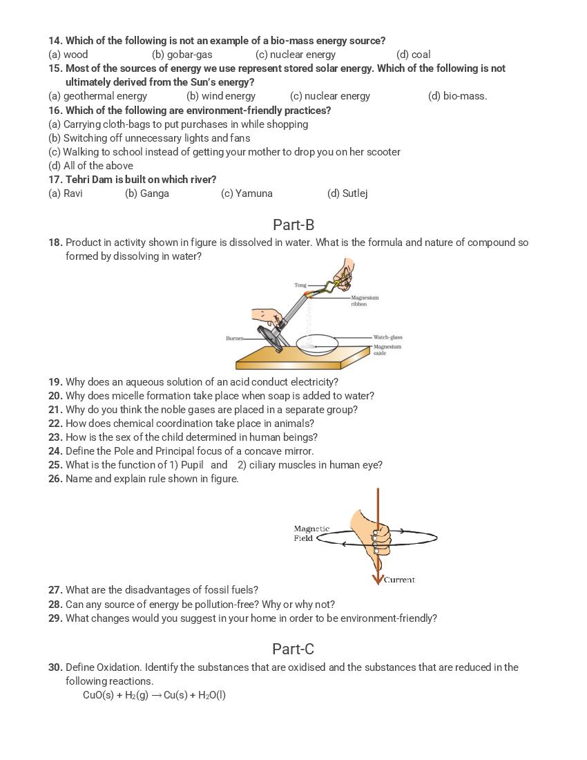 pseb-10th-science-sample-paper-2024-pdf-oneedu24