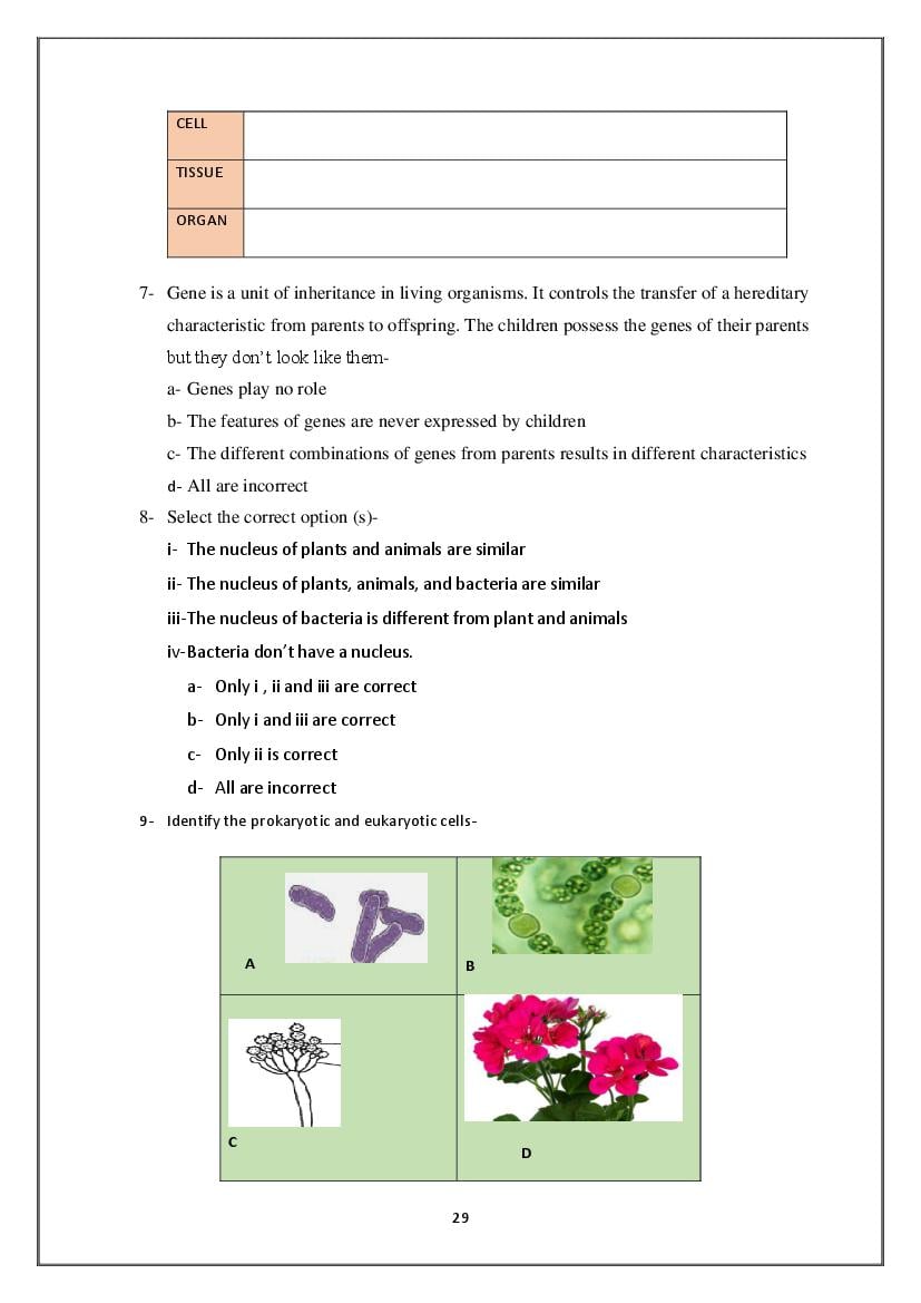 Class 8 Science Competency Based Questions 2025 - Download PDF - AglaSem