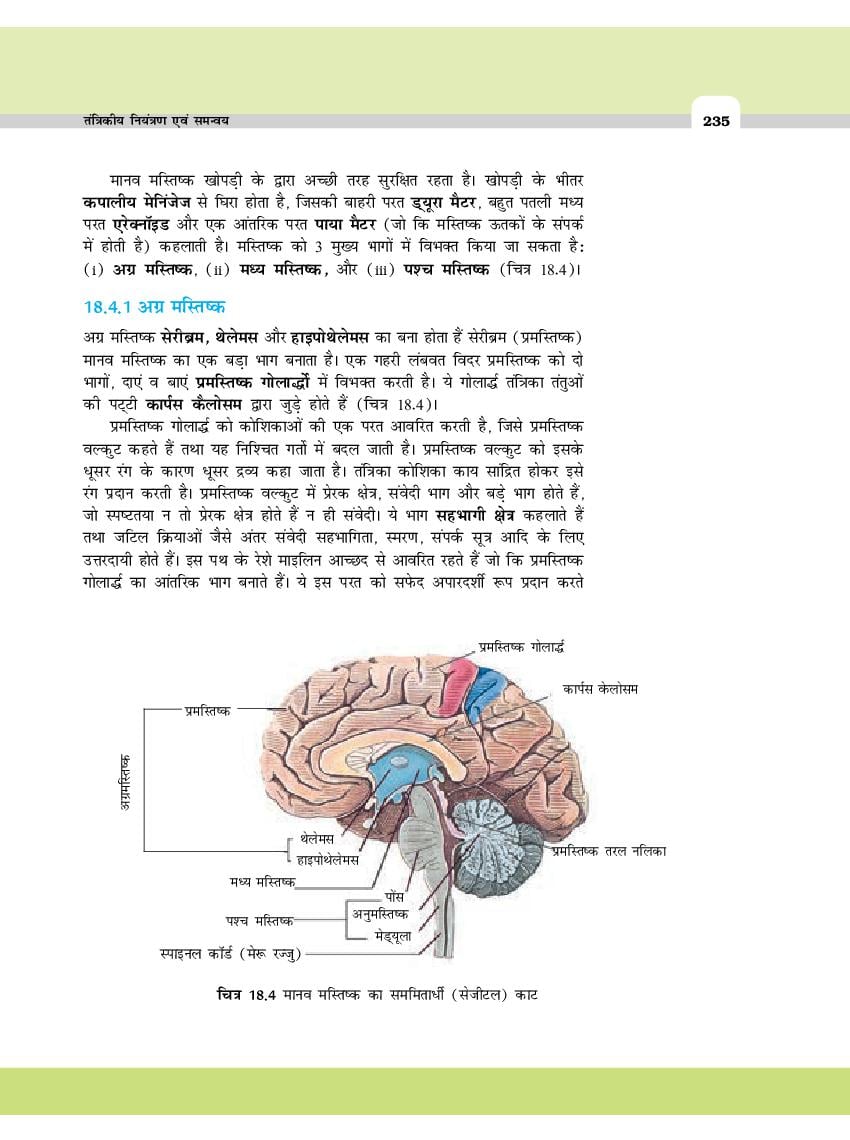 Ncert Book Class 11 Biology ज व व ज ञ न Chapter 18 शर र द रव तथ पर स चरण