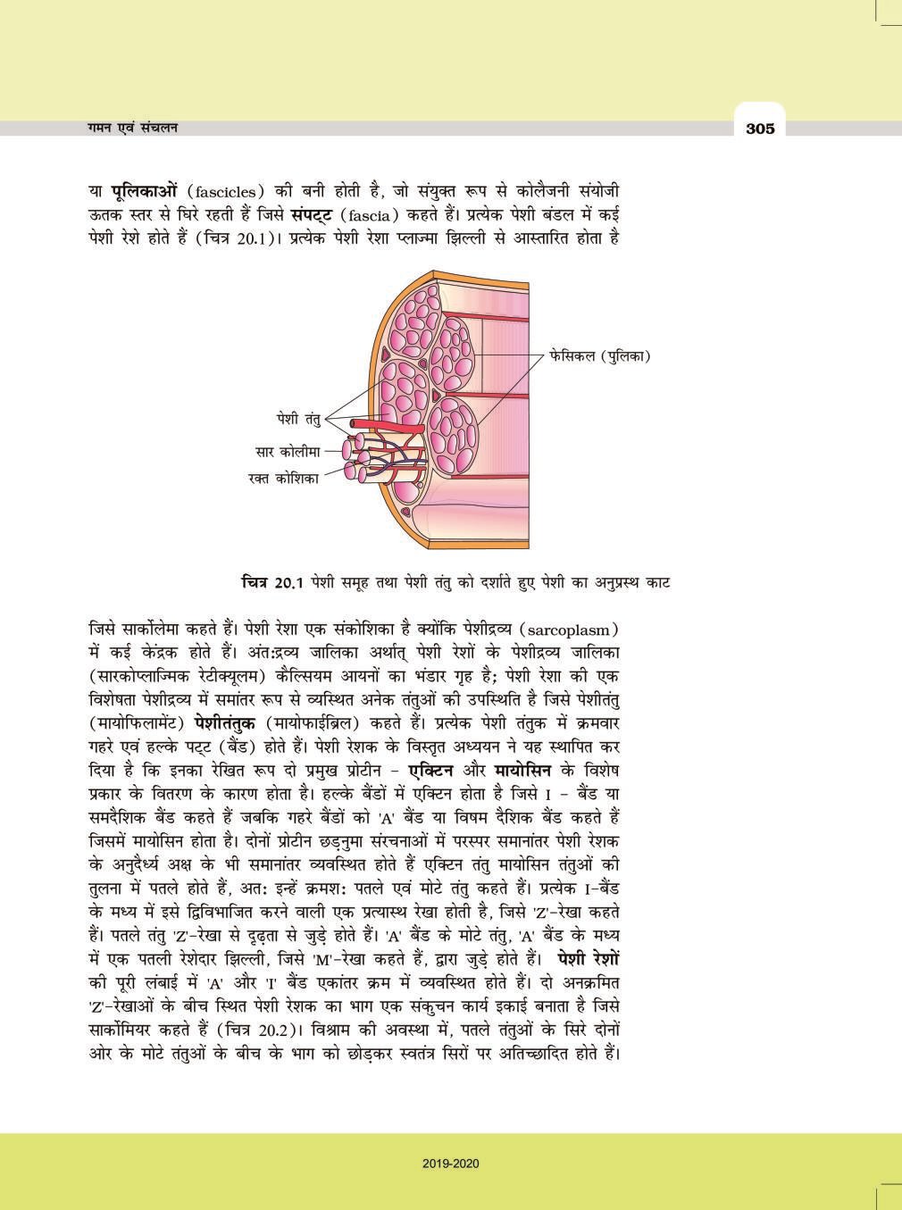 up-board-book-class-11-biology-chapter-20