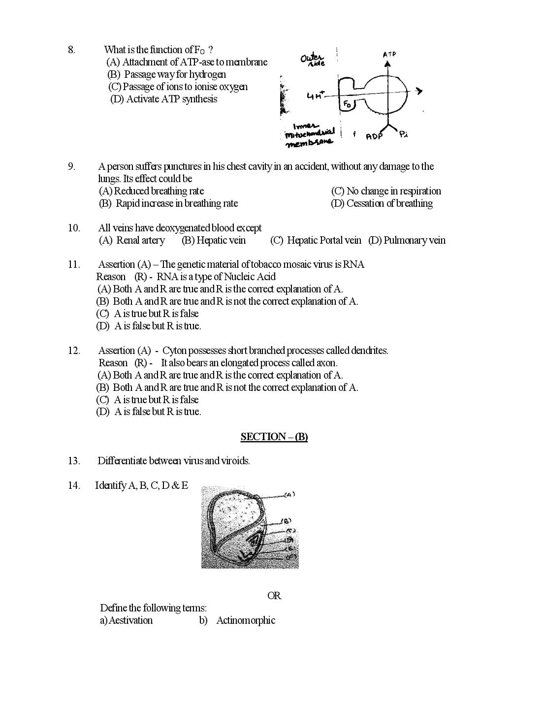 HP Board Class 11 Biology Model Paper 2027 (PDF) – Download HPBOSE 11th Sample Paper Biology
