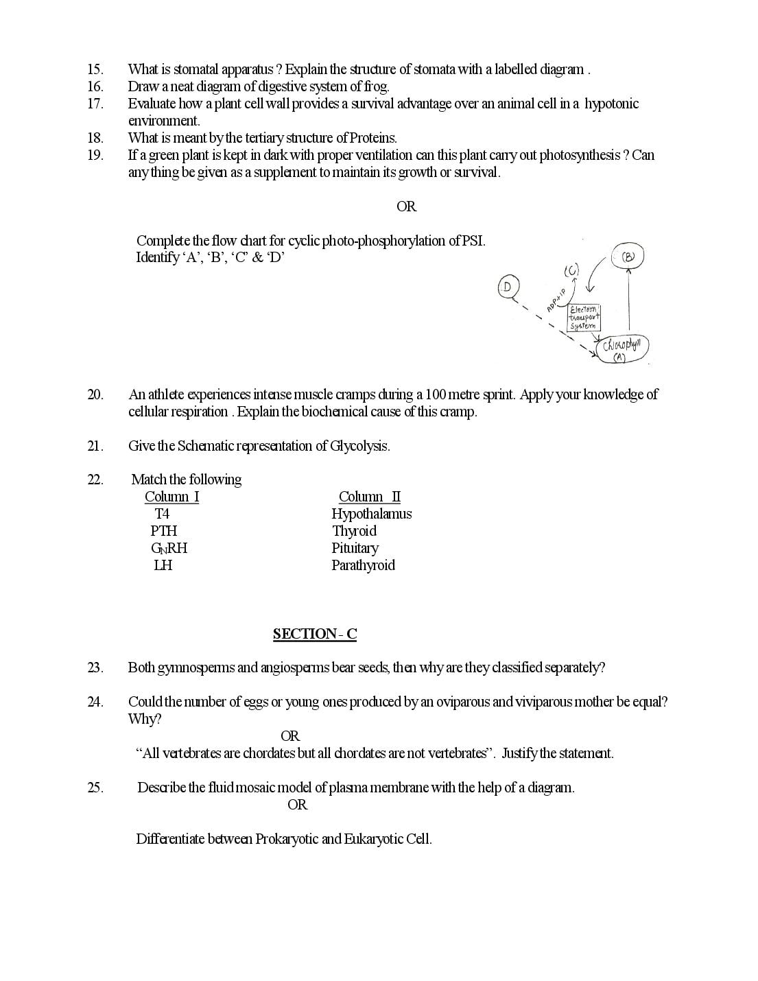 HP Board Class 11 Biology Model Paper 2027 (PDF) – Download HPBOSE 11th Sample Paper Biology