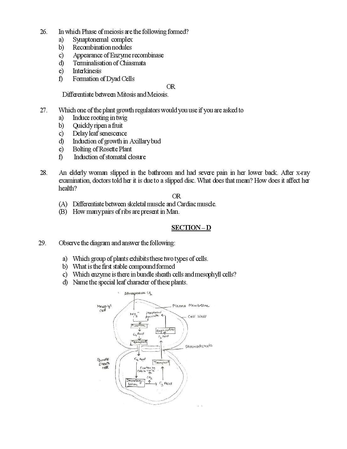 HP Board Class 11 Biology Model Paper 2027 (PDF) – Download HPBOSE 11th Sample Paper Biology