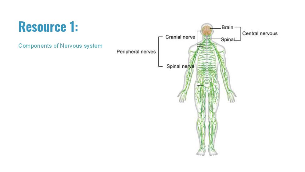 Teaching Material for Class 10 Biology – NCERT CBSE Handbook for Teachers