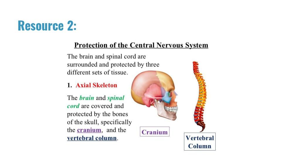 Teaching Material for Class 10 Biology – NCERT CBSE Handbook for Teachers