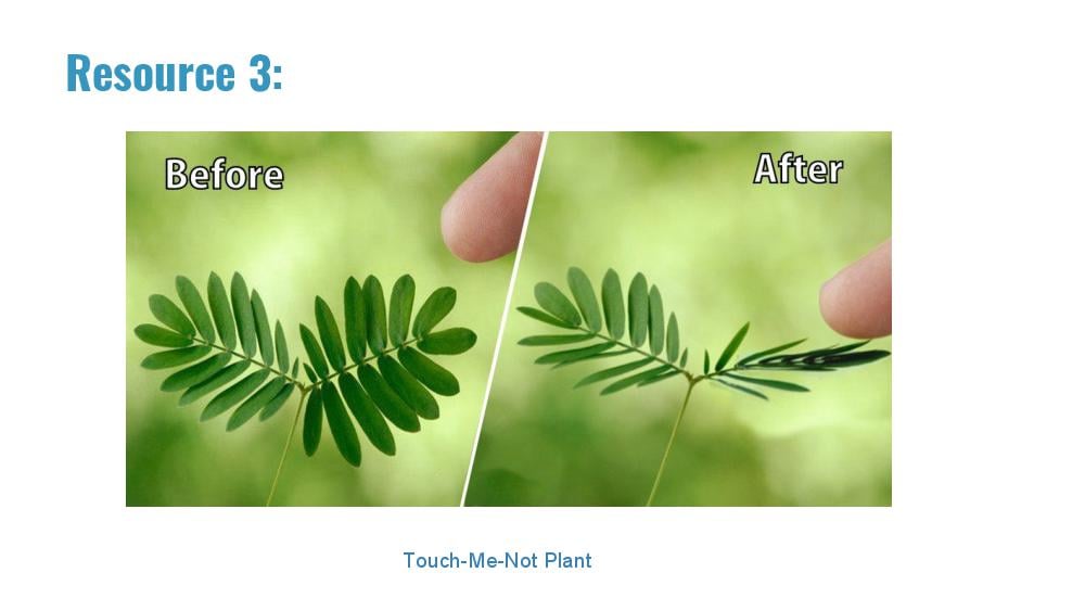 Teaching Material for Class 10 Biology – NCERT CBSE Handbook for Teachers
