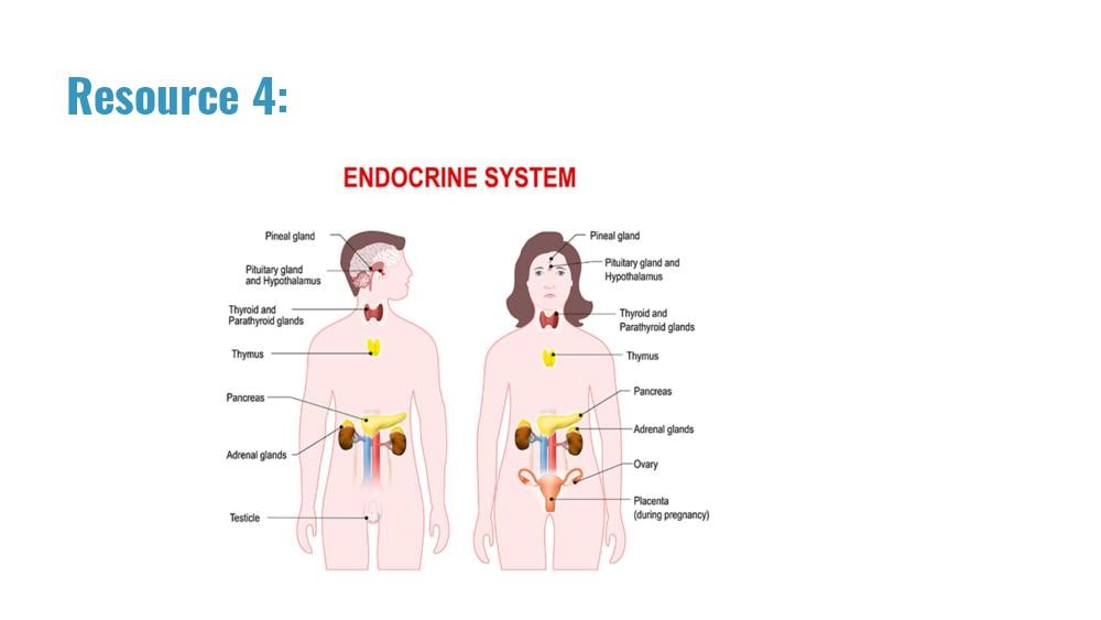 Teaching Material for Class 10 Biology – NCERT CBSE Handbook for Teachers