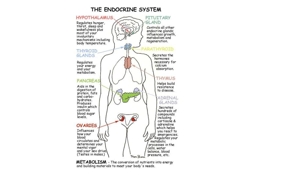 Teaching Material for Class 10 Biology – NCERT CBSE Handbook for Teachers