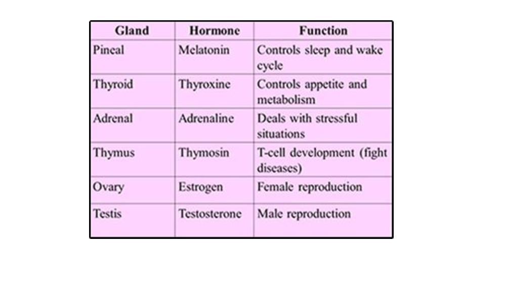Teaching Material for Class 10 Biology – NCERT CBSE Handbook for Teachers